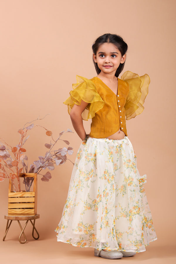 Little Kilkaari Multicolor Organza Lehenga Set with Tassels