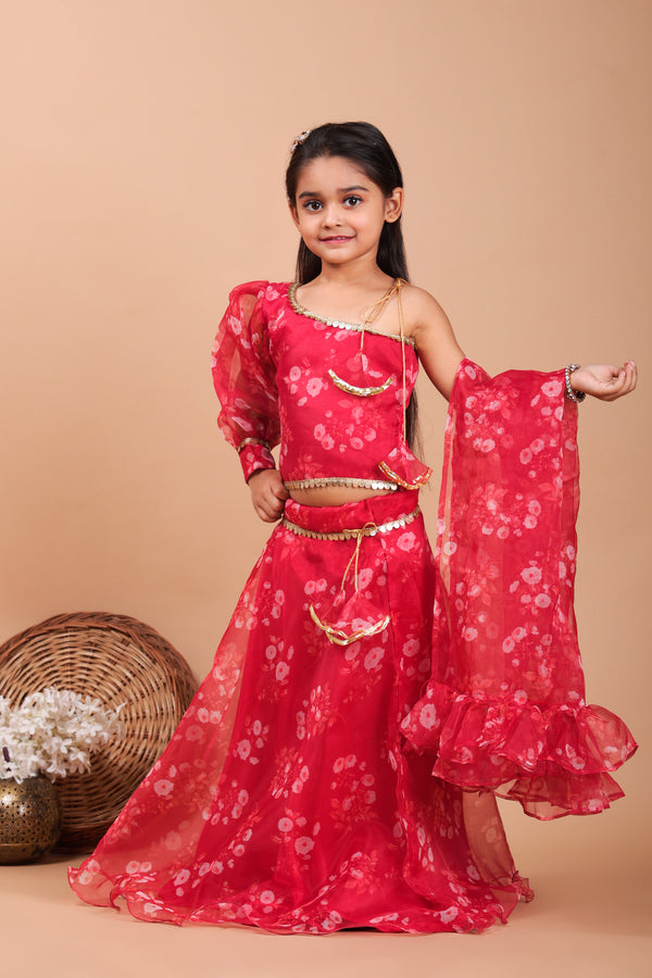 Little Kilkaari Pink Organza Lehenga Set with Tassels